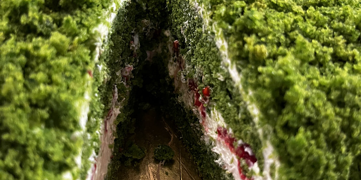 Mechový (špenátový) dort (Uvnitř dortíku maliny :))