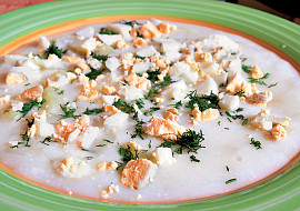 Jihočeská salapajda