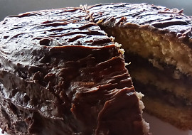 Piškotový dortový korpus