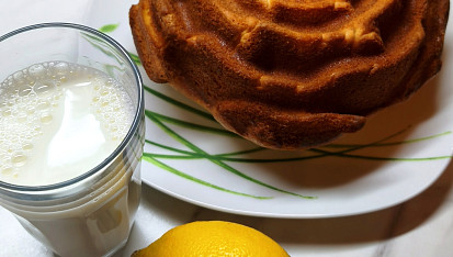 Jogurtová bábovka II