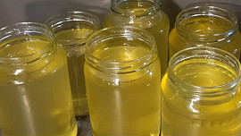 Kašička neboli limonáda z květů černého bezu