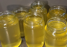 Kašička neboli limonáda z květů černého bezu