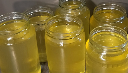 Kašička neboli limonáda z květů černého bezu