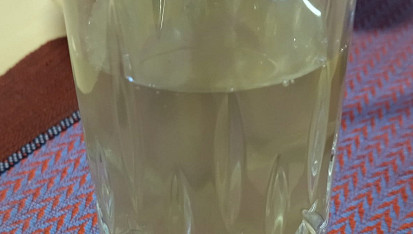 Kašička neboli limonáda z květů černého bezu