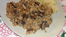 Kuba z hřibů - praváků