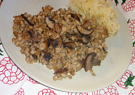 Kuba z hřibů - praváků