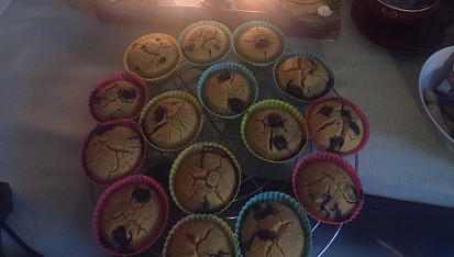Hrníčkové borůvkové muffiny (bezlepkové)