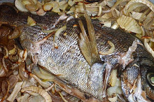 Miesto kapra pražma v celku, pochutnali sme si.