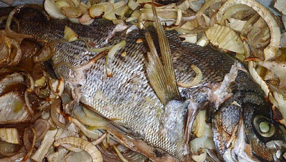 Kapr pečený na cibuli, Miesto kapra pražma v celku, pochutnali sme si.