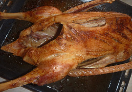 Pečená husa