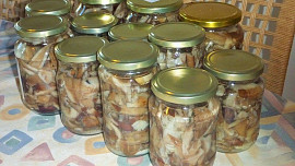 Nakládané houby v octě