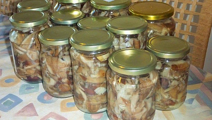 Nakládané houby v octě, Václavky v octe