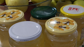 Bezový sirup za studena