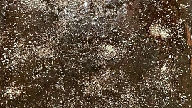 Čokoládové řezy s kokosem