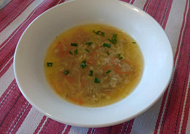 Moje polévka z mletého masa