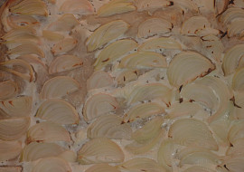 Jednoduchý cibulový koláč