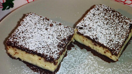 Jednoduchý moučník s pudinkovo-smetanovým krémem