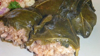 Plněné vinné listy II.