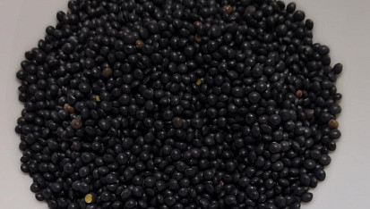 Salát z beluga čočky a kuskusu