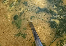 Celerová polévka s nivou (CELEROVÁ ♥️)