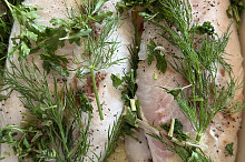 Sumec naložen ♥️