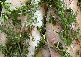 Sumec v marinádě (Sumec naložen ♥️)