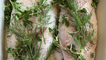 Sumec v marinádě, Sumec naložen ♥️