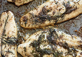 Sumec v marinádě (Sumec upečen ♥️)