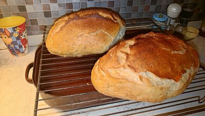 Domácí chleba