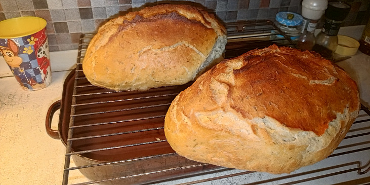 Domácí chleba