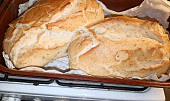 Domácí chleba