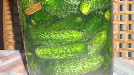 Láčenky a kvašáky