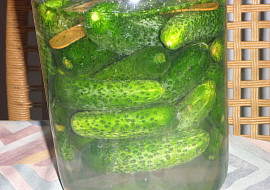 Láčenky a kvašáky