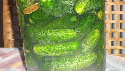 Láčenky a kvašáky