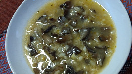 Houby-kroupy není hloupý