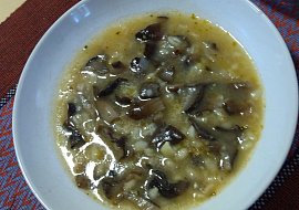 Houby-kroupy není hloupý