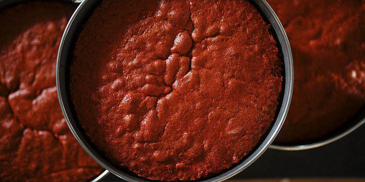 Korpus na Red velvet podle Šárky Divácké