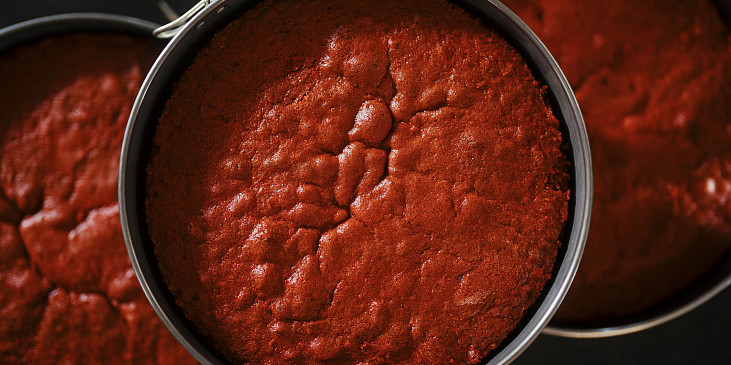 Korpus na Red velvet podle Šárky Divácké