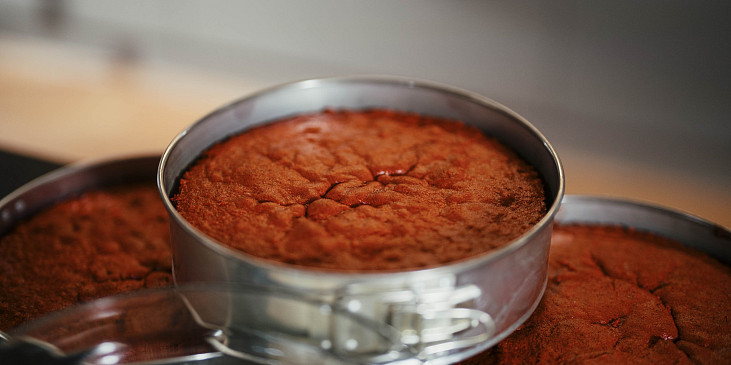 Korpus na Red velvet podle Šárky Divácké