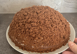 Domácí krtkův dort