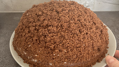 Domácí krtkův dort