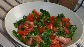 Rajčatový salát s medvědím česnekem