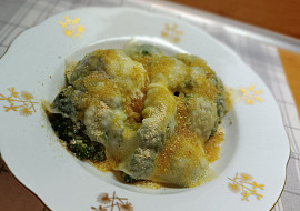 Brokolice úplně jednoduše