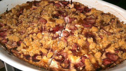 Drobenkový koláč s tvarohem a ovocem