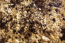 Buchta je s mangem A drobenku jsem posypala rozmixovanýma sušenýma malinamia s moruši