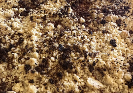 Ovocná buchta s drobenkou (Buchta je s mangem A drobenku jsem posypala rozmixovanýma sušenýma malinamia s moruši)