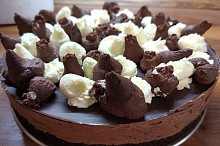 Dělal jsem co jsem mohl