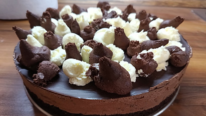 Pařížský dort pro Davču, Dělal jsem co jsem mohl