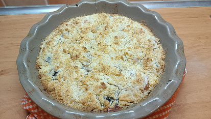 Švestkový (meruňkový) drobenkový koláč s pudinkovým tvarohem pro Fikinu