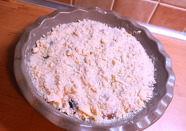 Švestkový (meruňkový) drobenkový koláč s pudinkovým tvarohem pro Fikinu